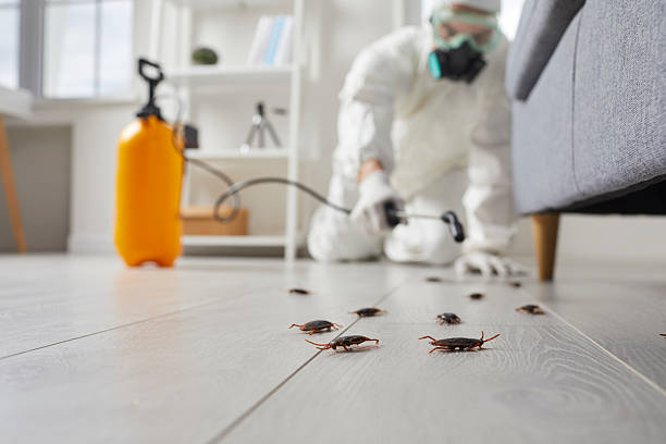 Commercial Kitchen Cockroach Control in Algonac